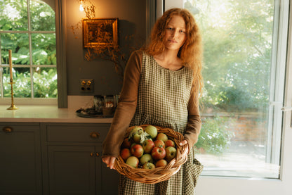Sartene French Linen Dress in Gingham