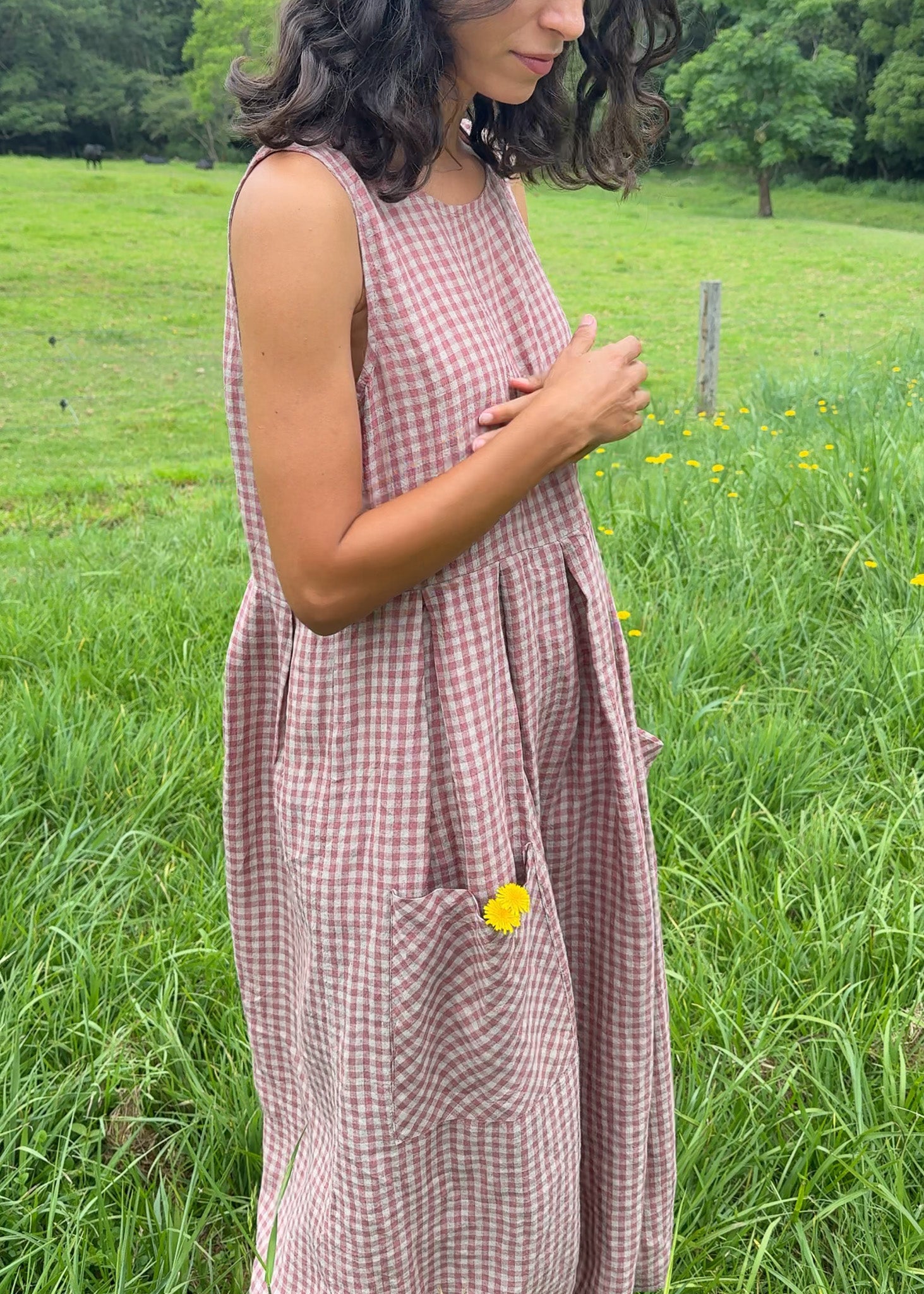 Montaigne Sartene French Linen Dress in Gingham Rose