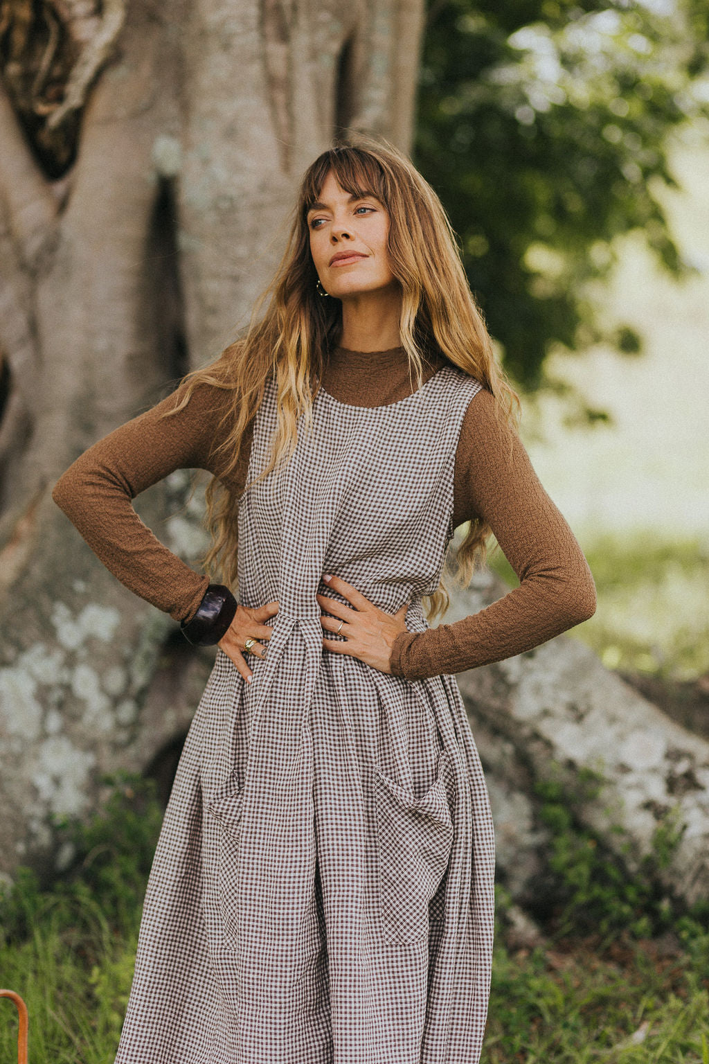 Montaigne Sartene French Linen Dress In Tiny Brown Gingham10